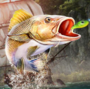 钓鱼大师真实模拟游戏官方版Fishing Master