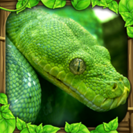 蟒蛇模拟器手游 v1.5 安卓版