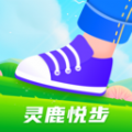 灵鹿悦步appv1.0.2 安卓版