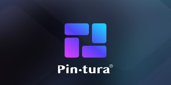 PinturaLife app