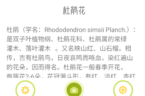 ʶappٷ