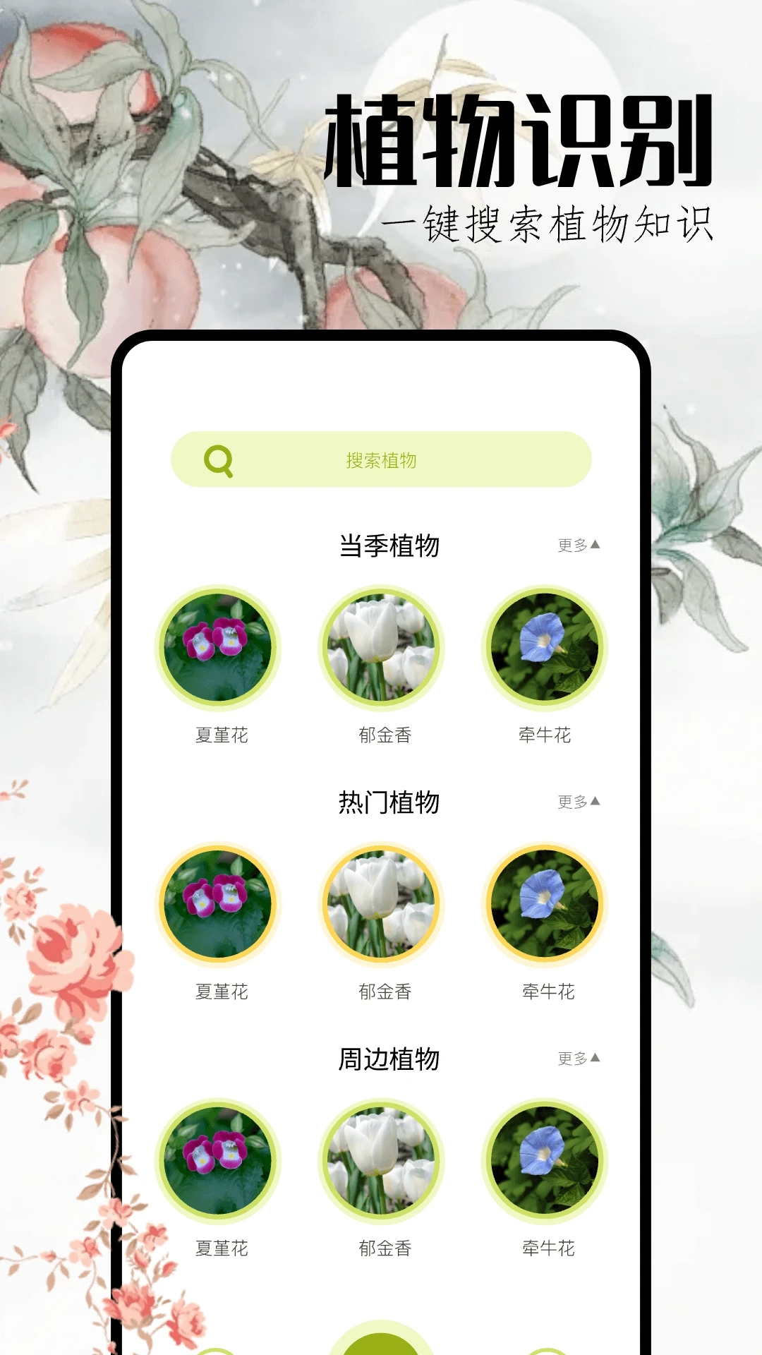 ʶappٷv1.6 °