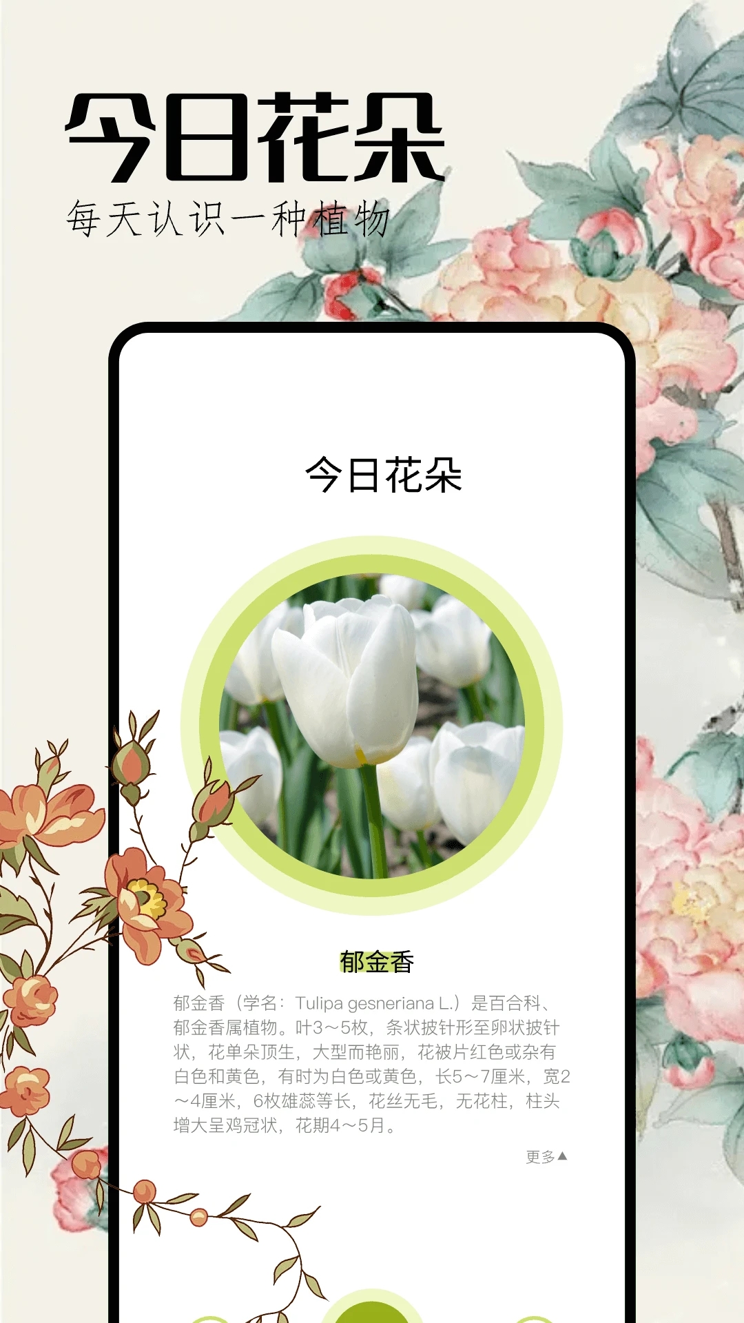 ʶappٷv1.6 °