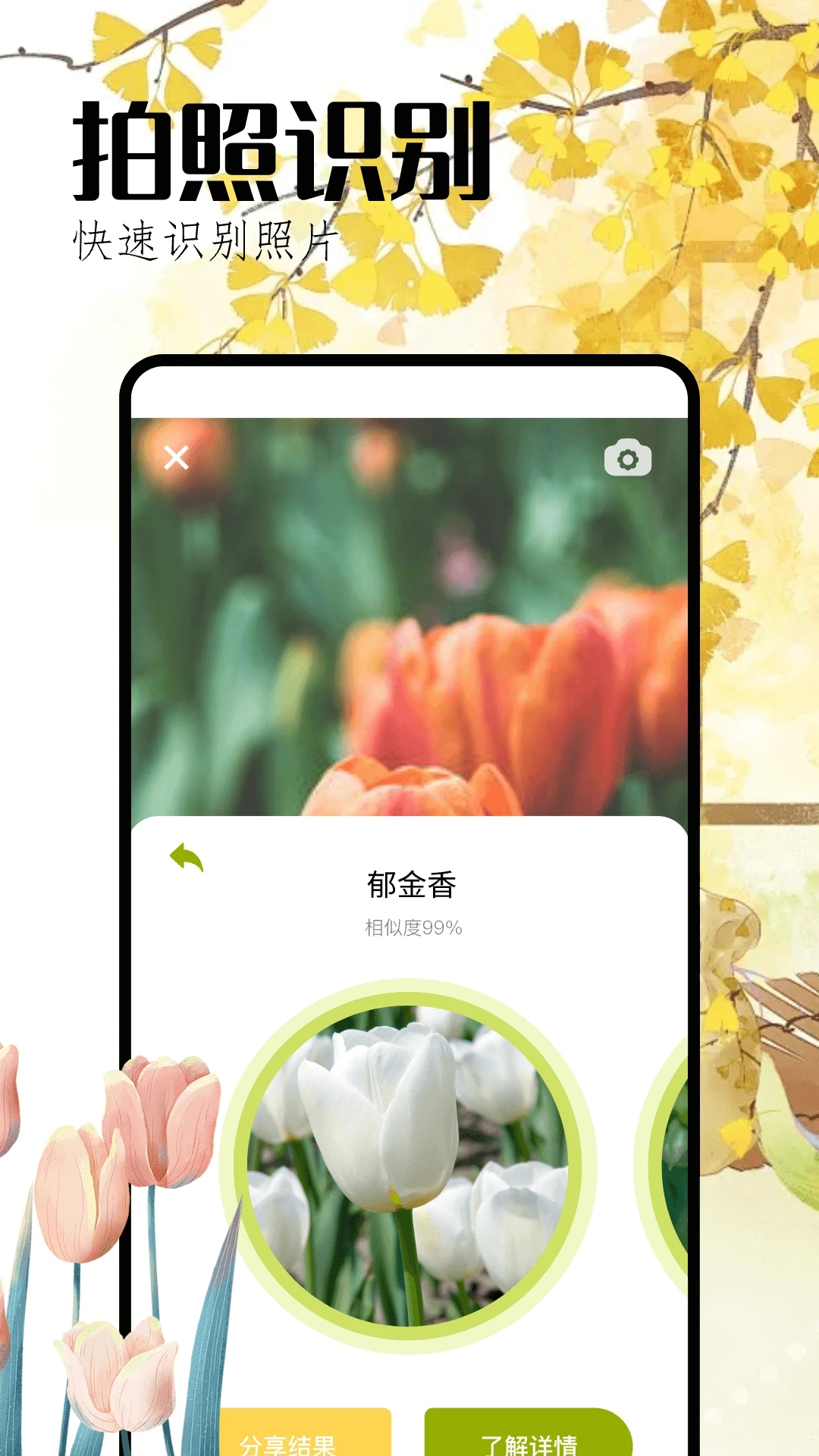 ʶappٷv1.6 °