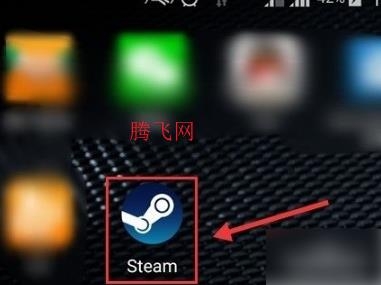 steamֻ