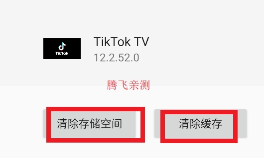 TikTok TV