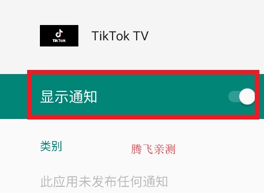 TikTok TV