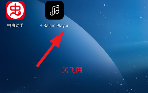 Salam Playerֻ