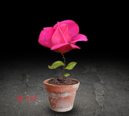 һϷֻ