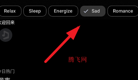 SimpMusicapp手机版 SimpMusicapp手机版