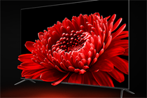 TCLV8-0MT3602-LF1V055̼ tcl