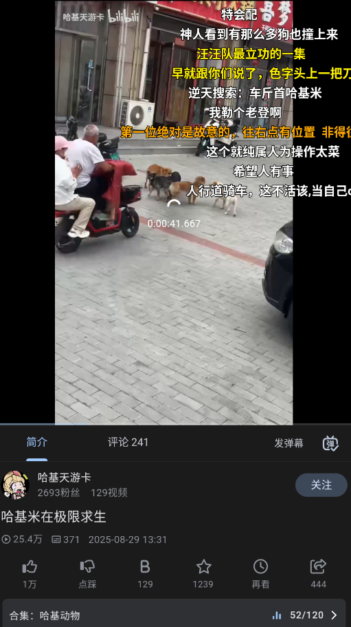 PiliPro手机版v1.5.0-1ece71bd9 最新版