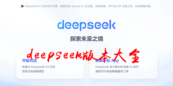 deepseek汾ȫ