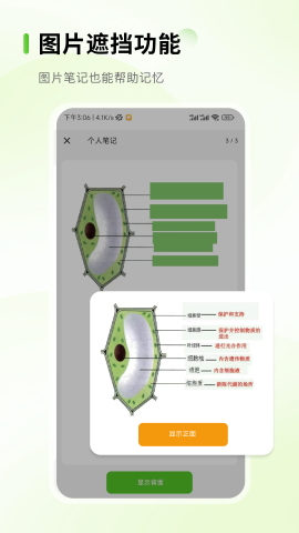 Anymo俨ٷv3.0.1 °