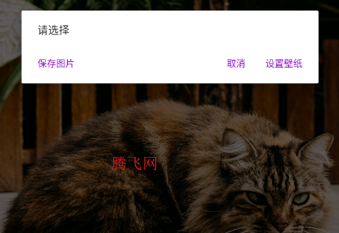 ͼappֻ