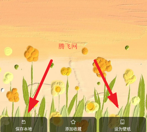 AniChֽappֻ