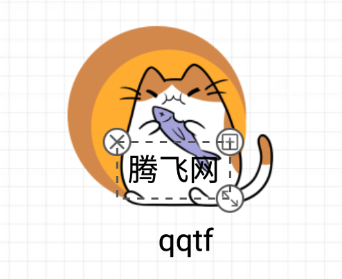 logoappֻ