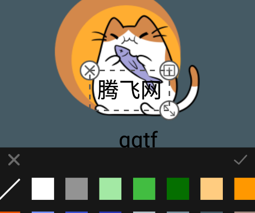 logoappֻ