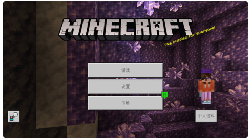 Minecraftҵȸ