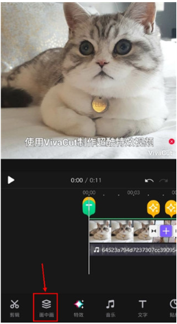 VivaCut app°