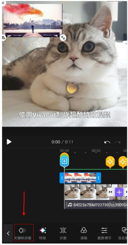 VivaCut app°