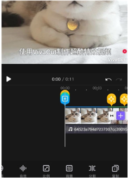 VivaCut app°