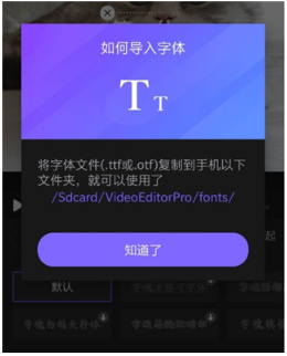 VivaCut app°