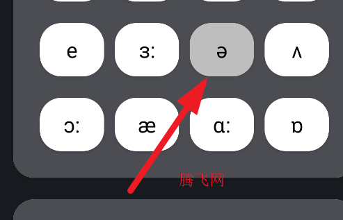 Ӣγ̺ϼapp