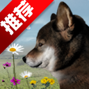 ղ湷ռİv1.0 °