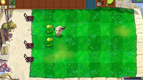 PVZָİ