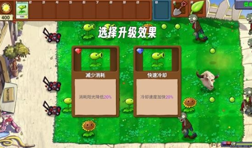 PVZָİ