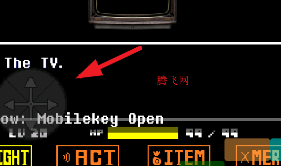 ˵֮the tvֻ