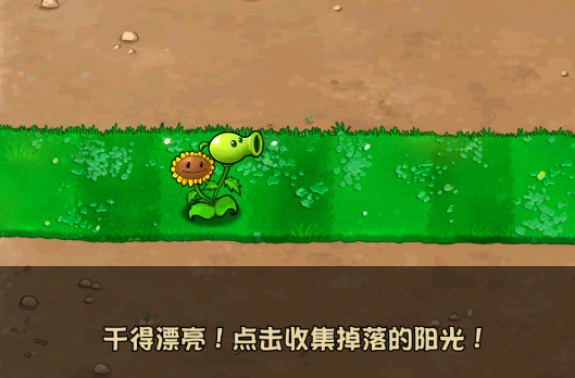 ֲսʬӽư