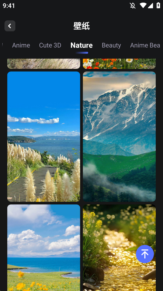 WallFancyֽappֻv1.6.9 °