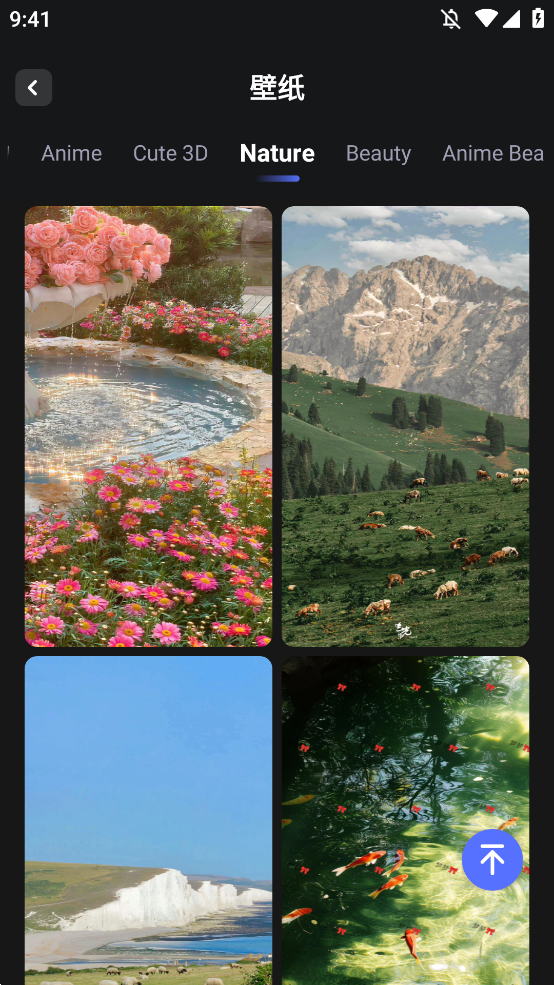 WallFancyֽappֻv1.6.9 °