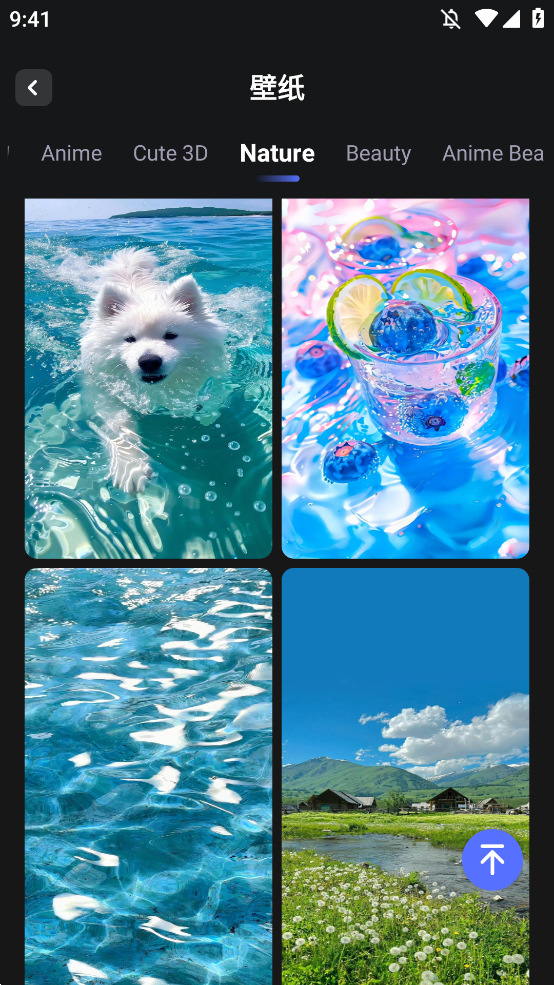 WallFancyֽappֻv1.6.9 °