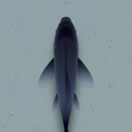 èº2ϷֻCatAlone2v6.0.0 °