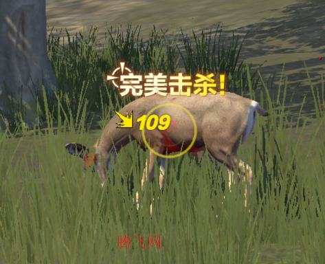 ִϷֻ