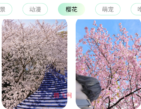 ɻֽͼƬΨֻֽapp