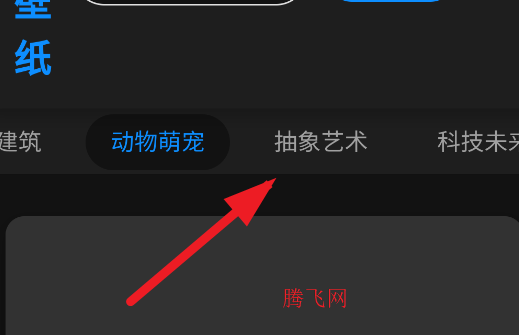 ֽ4kȫappֻ