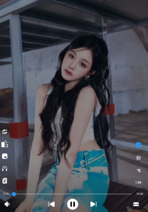 HDX Playerappֻ