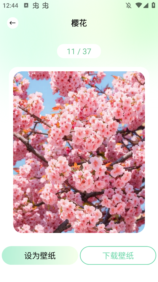 ɻֽͼƬΨֻֽappv1.1 °