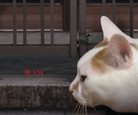è̷֮ΰ׿
