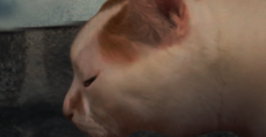 è̷֮ΰ׿