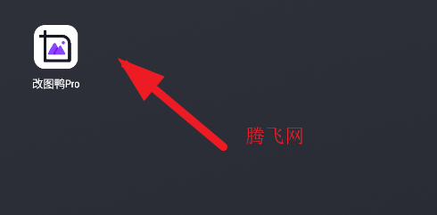 ͼѼproֻ