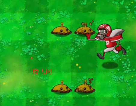 ֲսʬֻ