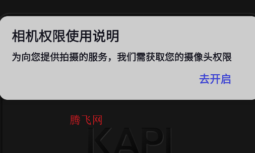 kapiappֻ(ԭƤaction)