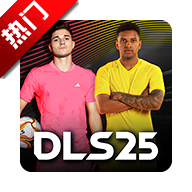 λ2025ٷ(DLS25)v12.250  ׿