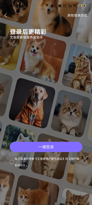 appٷ