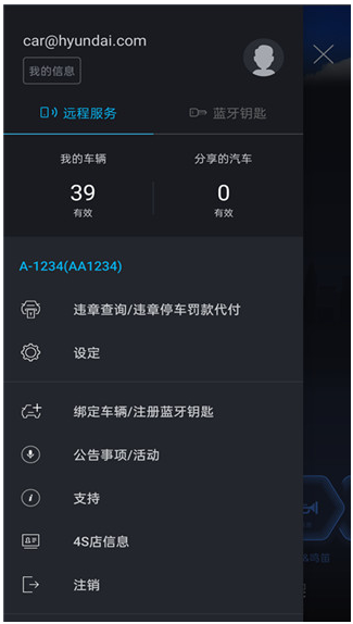 blueLinkԶappٷ